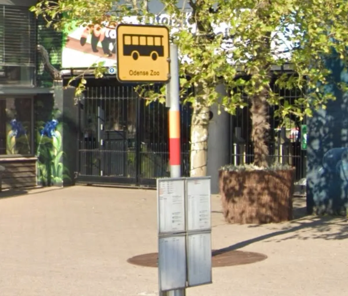 Orange og rød: 100A og 400A ved Odense Zoo